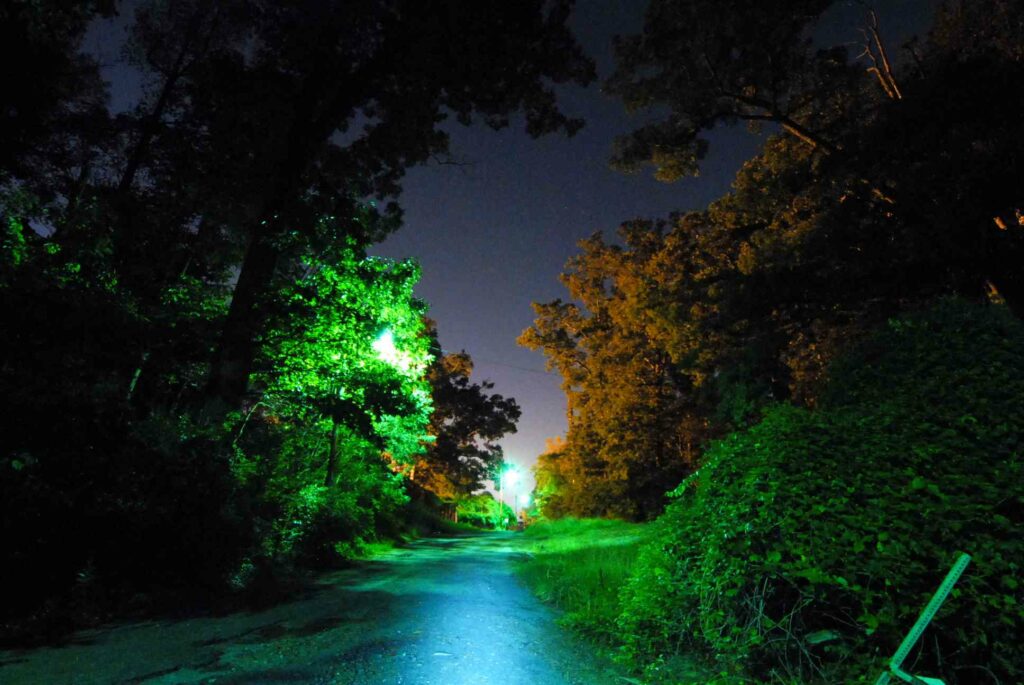 Eastghostcom Forest Glen Path To Expensive Bio Sensors In Woods Behind Biowar Lab